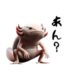 ウーパールーパー8！おもしろ！3Dリアル（個別スタンプ：22）