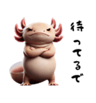 ウーパールーパー8！おもしろ！3Dリアル（個別スタンプ：24）