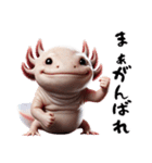 ウーパールーパー8！おもしろ！3Dリアル（個別スタンプ：27）