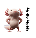 ウーパールーパー8！おもしろ！3Dリアル（個別スタンプ：31）