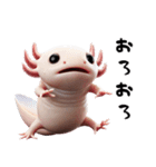 ウーパールーパー8！おもしろ！3Dリアル（個別スタンプ：34）