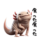 ウーパールーパー8！おもしろ！3Dリアル（個別スタンプ：39）