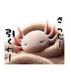 ウーパールーパー8！おもしろ！3Dリアル（個別スタンプ：40）