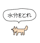 でかい！生活強要犬（個別スタンプ：8）