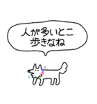 でかい！生活強要犬（個別スタンプ：12）