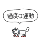 でかい！生活強要犬（個別スタンプ：13）