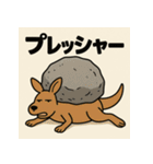 ゆるかんがる〜（個別スタンプ：6）