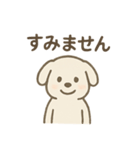 毎日使える！白い犬の挨拶＆敬語スタンプ（個別スタンプ：5）