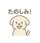 毎日使える！白い犬の挨拶＆敬語スタンプ（個別スタンプ：13）