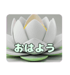 蓮の花もふもふスタンプ（個別スタンプ：2）
