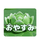 蓮の花もふもふスタンプ（個別スタンプ：12）