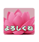 蓮の花もふもふスタンプ（個別スタンプ：14）