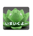 蓮の花もふもふスタンプ（個別スタンプ：16）