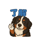 バーニーズ (Bernese Mountain Dog)  挨拶（個別スタンプ：1）