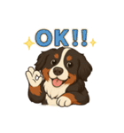 バーニーズ (Bernese Mountain Dog)  挨拶（個別スタンプ：2）