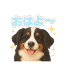 バーニーズ (Bernese Mountain Dog)  挨拶（個別スタンプ：3）