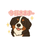 バーニーズ (Bernese Mountain Dog)  挨拶（個別スタンプ：4）