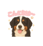 バーニーズ (Bernese Mountain Dog)  挨拶（個別スタンプ：5）