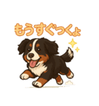 バーニーズ (Bernese Mountain Dog)  挨拶（個別スタンプ：6）