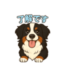バーニーズ (Bernese Mountain Dog)  挨拶（個別スタンプ：8）
