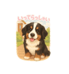 バーニーズ (Bernese Mountain Dog)  挨拶（個別スタンプ：10）