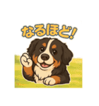 バーニーズ (Bernese Mountain Dog)  挨拶（個別スタンプ：13）