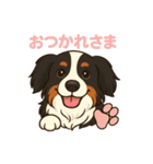 バーニーズ (Bernese Mountain Dog)  挨拶（個別スタンプ：16）