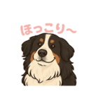 バーニーズ (Bernese Mountain Dog)  挨拶（個別スタンプ：17）