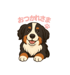 バーニーズ (Bernese Mountain Dog)  挨拶（個別スタンプ：19）