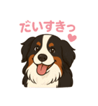 バーニーズ (Bernese Mountain Dog)  挨拶（個別スタンプ：20）