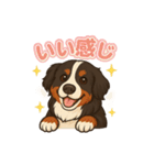 バーニーズ (Bernese Mountain Dog)  挨拶（個別スタンプ：22）