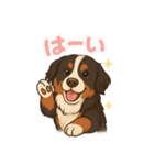 バーニーズ (Bernese Mountain Dog)  挨拶（個別スタンプ：23）