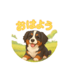 バーニーズ (Bernese Mountain Dog)  挨拶（個別スタンプ：24）