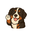 バーニーズ (Bernese Mountain Dog)  挨拶（個別スタンプ：26）