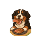 バーニーズ (Bernese Mountain Dog)  挨拶（個別スタンプ：27）