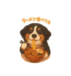 バーニーズ (Bernese Mountain Dog)  挨拶（個別スタンプ：30）