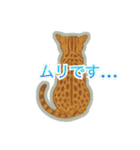 ベンガルキャットからのメッセージ（個別スタンプ：6）