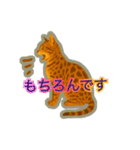 ベンガルキャットからのメッセージ（個別スタンプ：8）