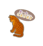 ベンガルキャットからのメッセージ（個別スタンプ：12）