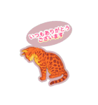 ベンガルキャットからのメッセージ（個別スタンプ：14）