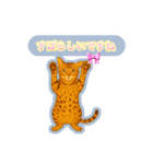 ベンガルキャットからのメッセージ（個別スタンプ：16）