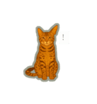 ベンガルキャットからのメッセージ（個別スタンプ：17）