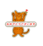 ベンガルキャットからのメッセージ（個別スタンプ：20）