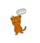 ベンガルキャットからのメッセージ（個別スタンプ：22）