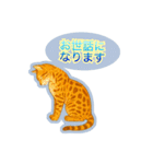 ベンガルキャットからのメッセージ（個別スタンプ：30）