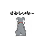 シュナウザーの愛らしき日々2（個別スタンプ：1）