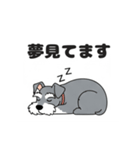 シュナウザーの愛らしき日々2（個別スタンプ：6）