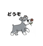 シュナウザーの愛らしき日々2（個別スタンプ：7）