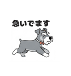 シュナウザーの愛らしき日々2（個別スタンプ：8）