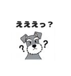 シュナウザーの愛らしき日々2（個別スタンプ：9）